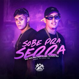 Album cover of Sobe pra Serra