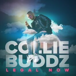 Album cover of Legal Now