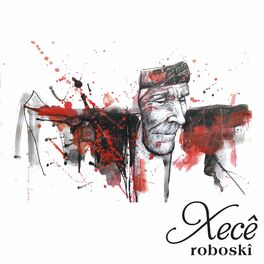 Album cover of Roboskî