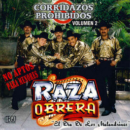 Album cover of Corridazos Prohibidos, Vol. 2