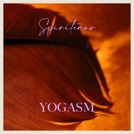 Album cover of Yogasm