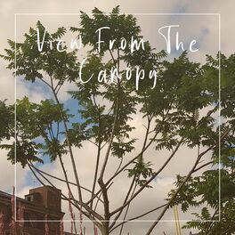 Album cover of View from the Canopy
