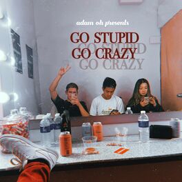 Album cover of GO STUPID GO CRAZY