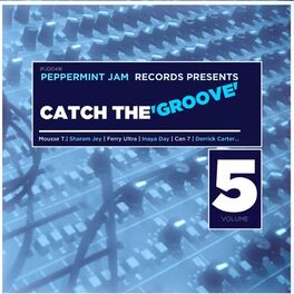Album cover of Peppermint Jam Records Pres., Catch the Groove, Vol. 5