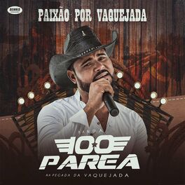 Album cover of Paixão Por Vaquejada