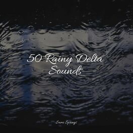 Album cover of 50 Rainy Delta Sounds