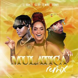 Album cover of Mulatica (Remix)
