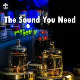 Album cover of The Sound You Need