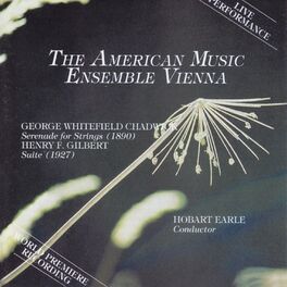 Album cover of American Music Ensemble Vienna