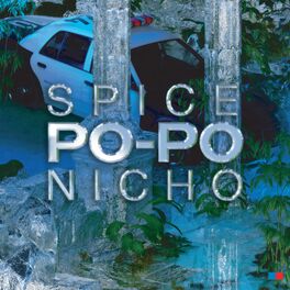 Album cover of Po-Po (feat. Nicho)