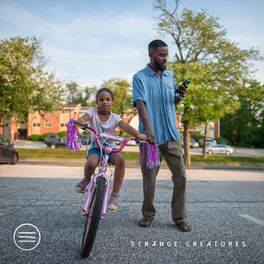 Album cover of Strange Creatures