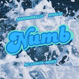 Album cover of Numb (KC Lights Remix)