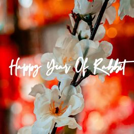 Album cover of Happy Year Of Rabbit