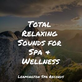 Album cover of Total Relaxing Sounds for Spa & Wellness