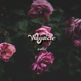 Album cover of Wayside