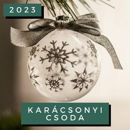 Album cover of Karácsonyi Csoda 2023
