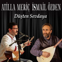 Album cover of Düşten Sevdaya