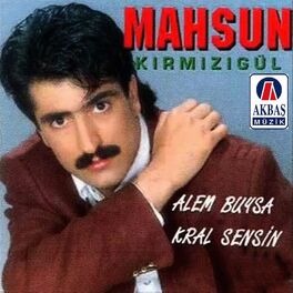 Album cover of Alem buysa / Kral sensin