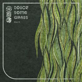 Album cover of touch some grass