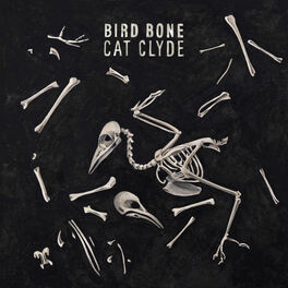 Album cover of Bird Bone