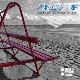Album cover of Analog Trip - Midnight Summer Dream (MP3 Single)