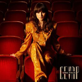 Album cover of Cevap