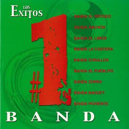 Album cover of #1 Banda