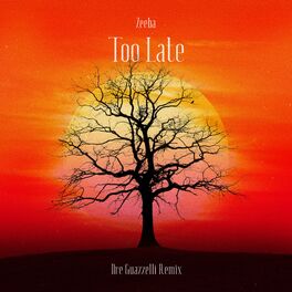 Album cover of Too Late (Dre Guazzelli Remix)