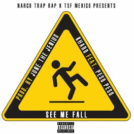 Album cover of See Me Fall (feat. Peso Peso)