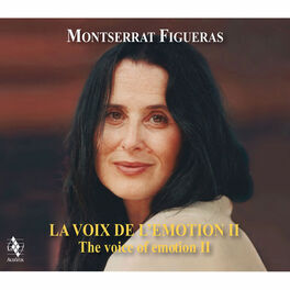Album cover of The Voice of Emotion II
