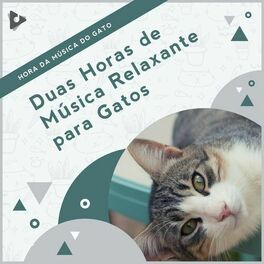 Album cover of 2 Horas de Música Relaxante para Gatos