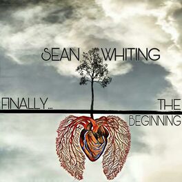 Album cover of Finally...The Beginning