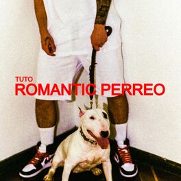 Album cover of Romantic Perreo