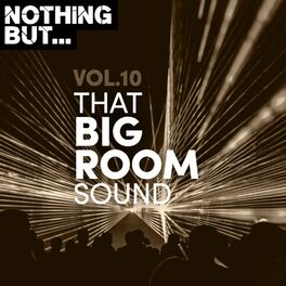 Album cover of Nothing But... That Big Room Sound, Vol. 10