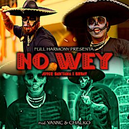 Album cover of No Wey