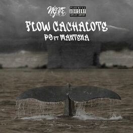 Album cover of Flow Cachalote