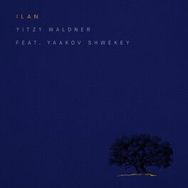 Album cover of Ilan (feat. Yaakov Shwekey)
