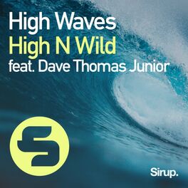 Album cover of High Waves