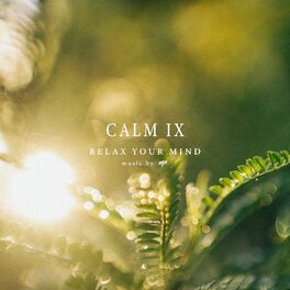 Album cover of CALM IX
