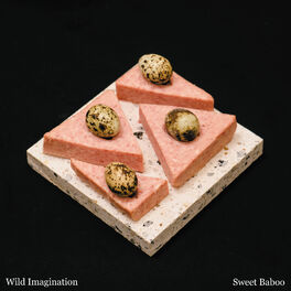 Album cover of Wild Imagination