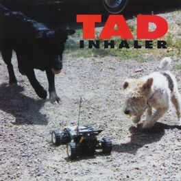 Album picture of Inhaler