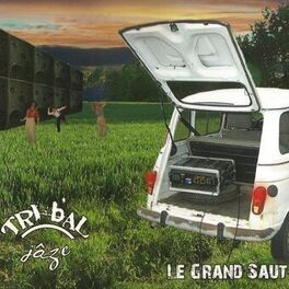 Album cover of Le grand saut