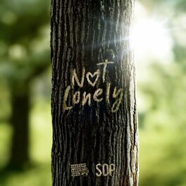 Album cover of Not Lonely