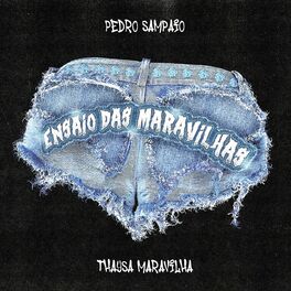Album cover of ENSAIO DAS MARAVILHAS