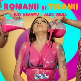Album cover of Românii și Țiganii