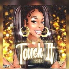 Album cover of Touch it (Remix)