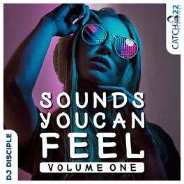 Album cover of Sounds You Can Feel