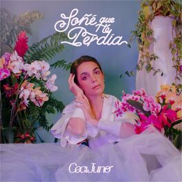 Album cover of Soñé Que Te Perdía