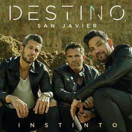 Album cover of Instinto