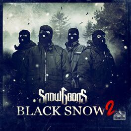 Album cover of Black Snow 2